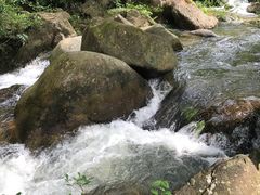 -广州市石门国家森林公园