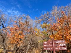 -北京西山国家森林公园