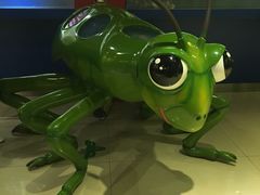 -上海昆虫博物馆