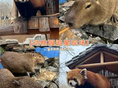 -北京野生动物园