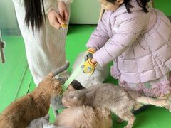 -上海佘山茂御臻品之选酒店(原佘山艾美酒店)