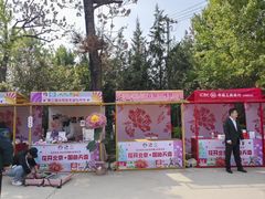 -太阳宫公园