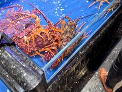-万宝海鲜舫(劳动公园店)