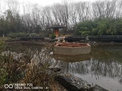 -合肥三国新城遗址公园