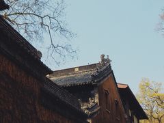 -灵谷景区