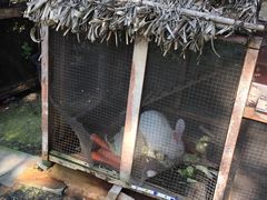 -成都保利公园皇冠假日酒店(熊猫基地店)
