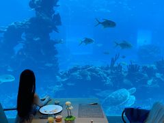 -海棠湾洲际-涛·海底餐厅·美人鱼·自助餐·海底隧道