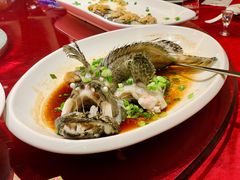 清蒸老虎斑-金满楼(天河中路店)