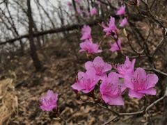 -蟠龙山长城景区