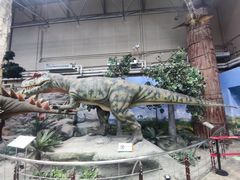 -国家自然博物馆