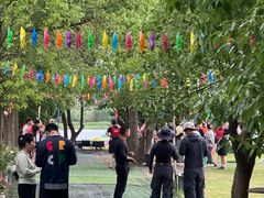 -动邦皮划艇·桨板·独木舟·团建户外运动俱乐部