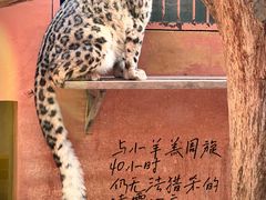 -青藏高原野生动物园