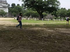 -名古屋城