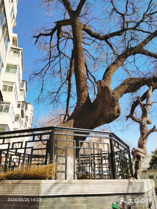 年记·兴顺斋 牛街清真熟食小吃店图片