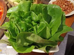水培有机奶油生菜-重庆地瓜老火锅(广渠门店)