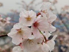 -幕燕滨江·长江观音景区