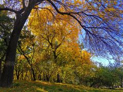 -元大都城垣遗址公园