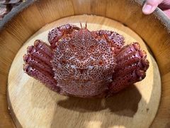 -蟹田居·活蟹料理(东城店)