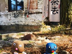 -鲁山国家森林公园