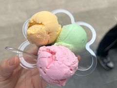 -成裕雪糕店(士多店)