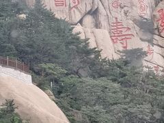 -崂山仰口游览区