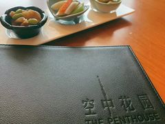 -广州富力君悦大酒店空中花园