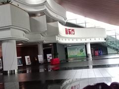 -合肥大剧院