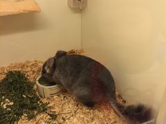 -龙猫仔乐园(惠福东路店)