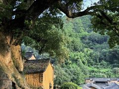 -杨家堂村