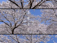 -上海辰山植物园