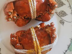 -阳澄湖大闸蟹·琼灵阁牌品牌连锁(吴中总店)