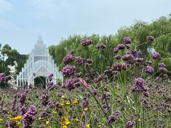 -梁鸿国家湿地公园