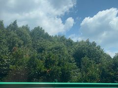 -乌石村