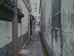 -莲花岛景区