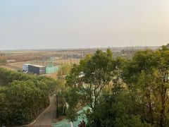 -上海崇明金茂凯悦酒店