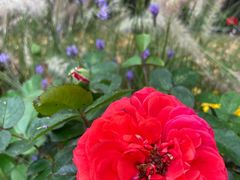 -人民公园(罗湖区)