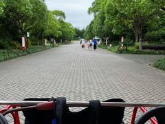 -上海海湾国家森林公园