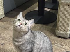 -小时光咖啡馆(开森度假森林店)