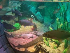 -沈阳海洋探索中心