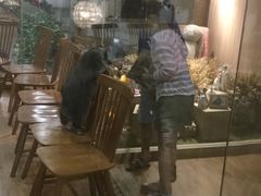 -藦茜花园宠物主题亲子互动体验馆(国顺东路店)
