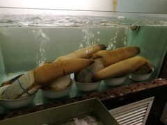 -甄御•海鲜新青岛菜(麦岛店)