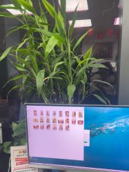 -邦叔叔.亲子全家福毕业照跟拍摄影(嘉定店)