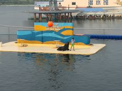 -秦皇岛乐岛海洋王国