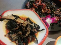 -向外鱼乐·土菜·虹鳟鱼