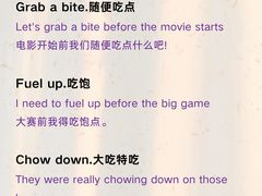 -引领英语·成人口语·雅思托福