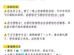 -巧克力渔家.小船海鲜家常菜(万平口店)