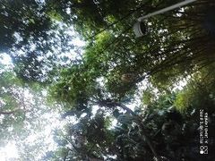 -中山公园(石岐街道)