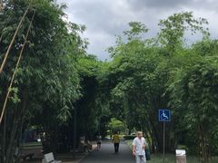 -晓港公园