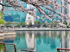 -西北湖绿化广场