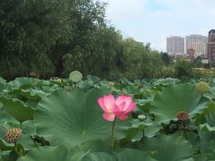 -前关湿地公园